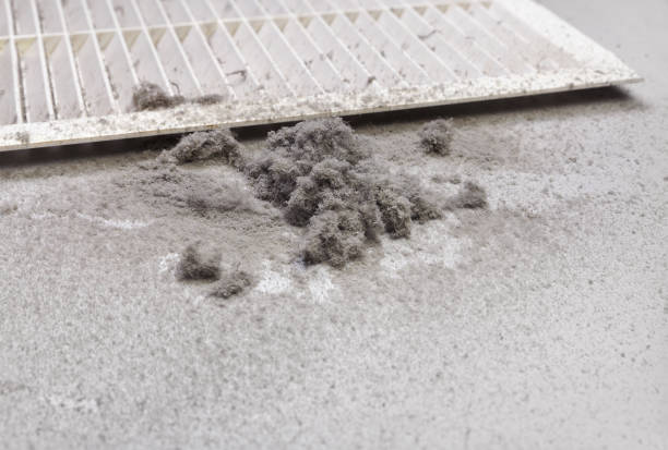 Affordable HVAC Duct Cleaning in Cave Junction, OR